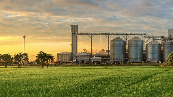 Hygienische Edelstahl‑Messtechnik zur Druck‑ und Temperaturmessung in der Lebensmittel‑ und Futtermittelproduktion.