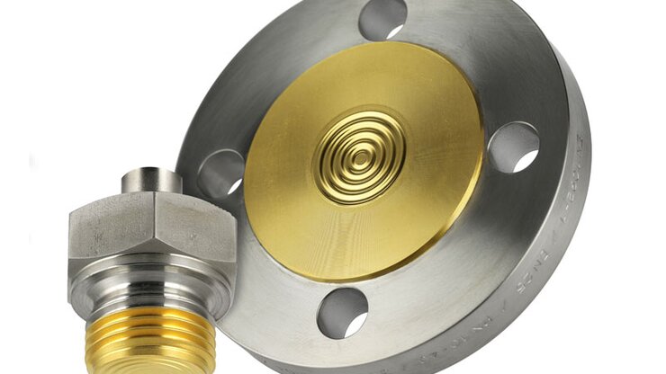Flanged diaphragm seal and screw-in thread with a thin metal diaphragm.